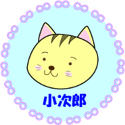 Kojiro of brown tabby