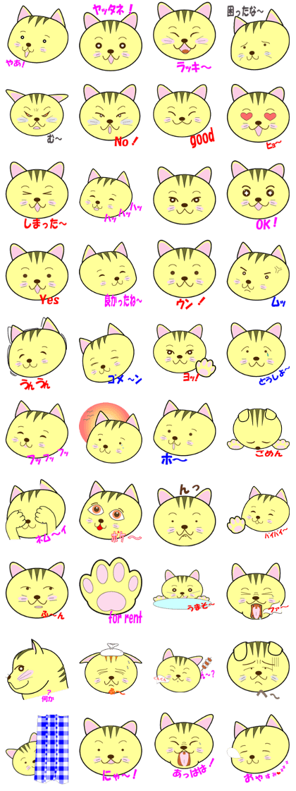 Kojiro of brown tabby