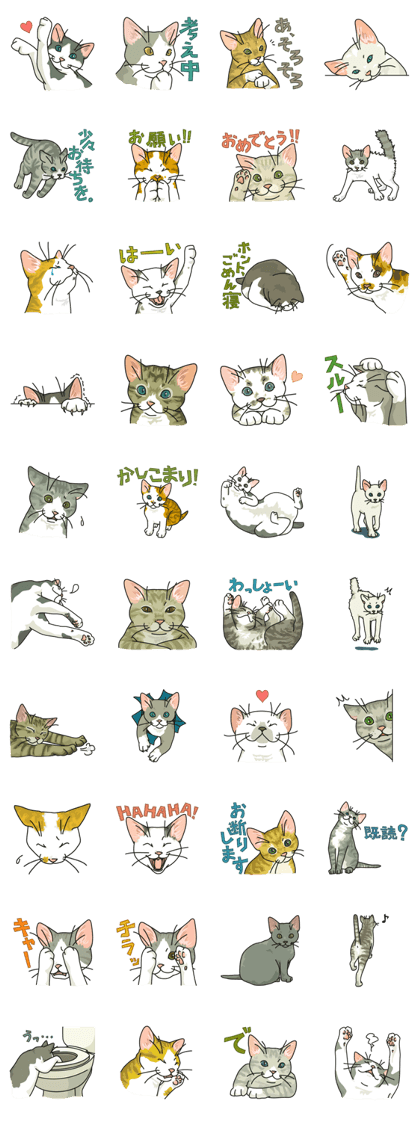 NO CAT NO LIFE Satowo cat stamp2