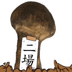 松茸研究家二場さんのマツタケ