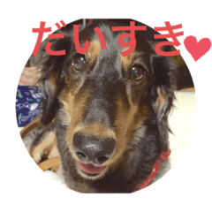 risa_20191201195444