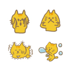 可愛的小橘貓貓