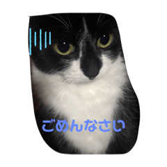 Hikari_20191201213306