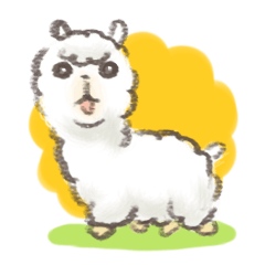 a fluffy alpaca