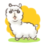 a fluffy alpaca