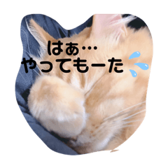 riho_20191201215707