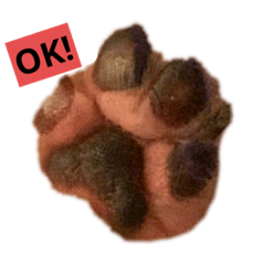 punipuni_20191202014637