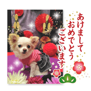 MOMO NENGA2020 HappyNewYear&Christmas