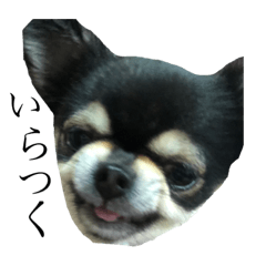 chi_20191202032045