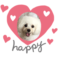 chie_20191202103348