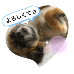 kazumi_20191202115813
