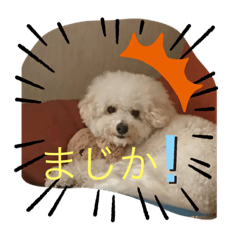 junko_20191202112759