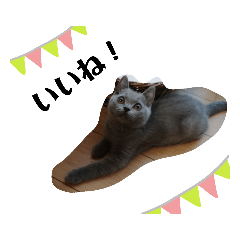 mizunon_20191202123327