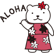 ALOHA BEAR