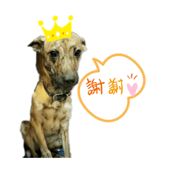 可愛26