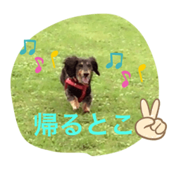 risa_20191202184420