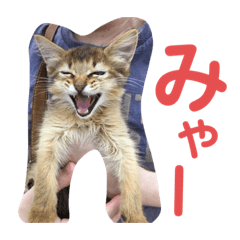 Tetsu_20191202205009