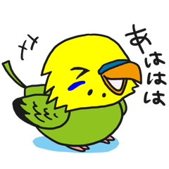 黃背綠鸚鵡