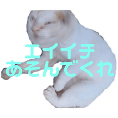 ayano_20191203102020