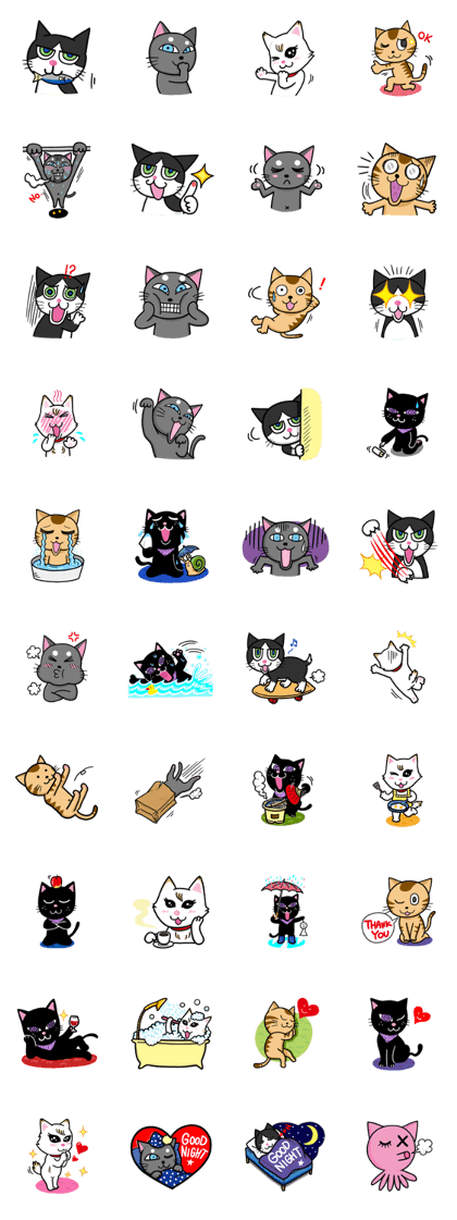 CAT'S PARTY