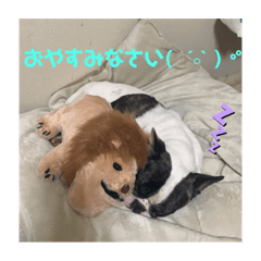 seira_20191203095044