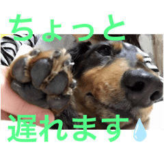 risa_20191203142501