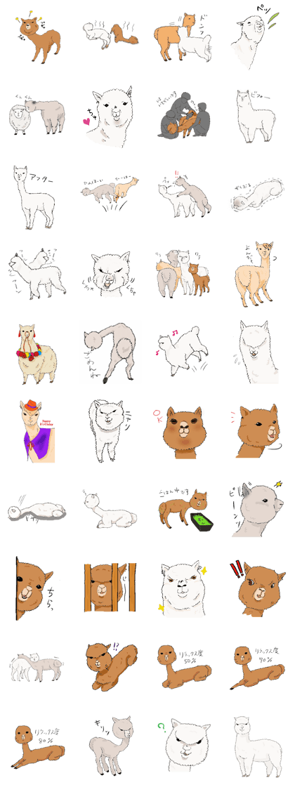 Alpaca boys