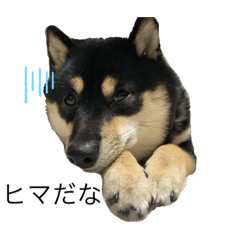 mizuki_20191203064937