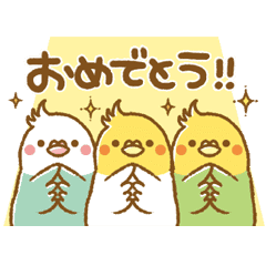 動く オカメインコの毎日お返事セット Line スタンプ Line Store 動く オカメインコの毎日お返事セット Line スタンプ Line Store