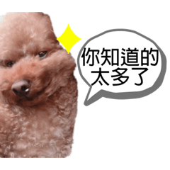 我是賴嚕嚕！
