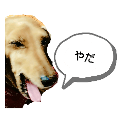 SATOSHI_20191202231054