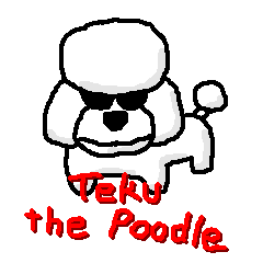 Teku the Poodle