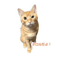 asuka_20191203154351