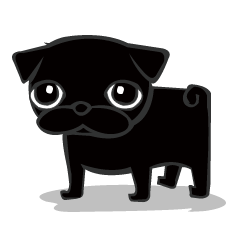 Black Pug DOM