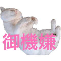 ayano_20191203173439