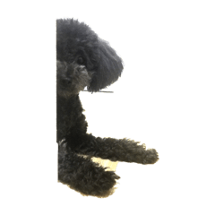mo_20191203172239