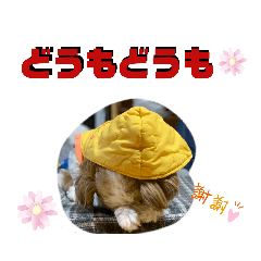 shizu_20191203201206