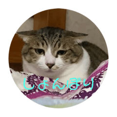 saya_20191203214951