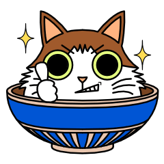 Bowl in cat