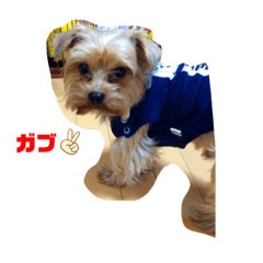 Kaito_20191203225611