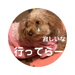 miyoko_20191203230434
