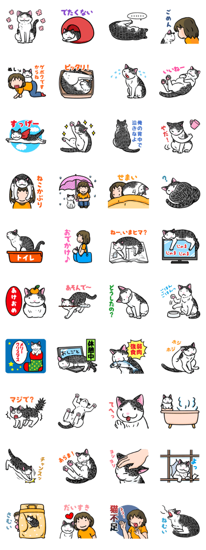 Life with Mii: Everyday cat stories