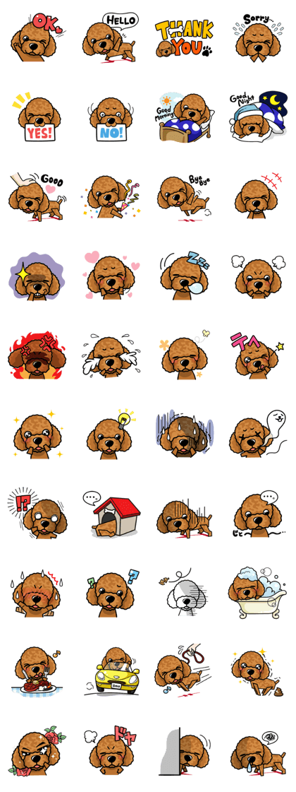 iinu  - Toy Poodle