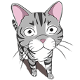 なめ猫 なめんなよ Line スタンプ Line Store なめ猫 なめんなよ Line スタンプ Line Store