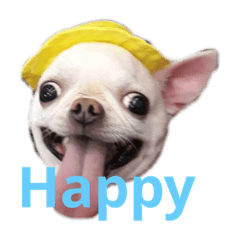 Silly dogs happy life part 2