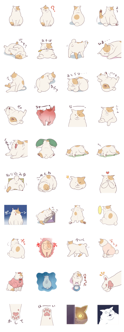 Don of fat cat