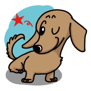Dachsfund named Haru