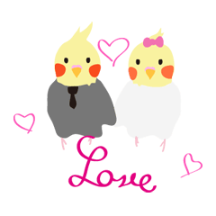 Love love bird