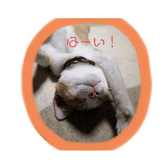 manmaru_20191204013318