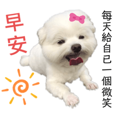 啤酒妹の日常用語